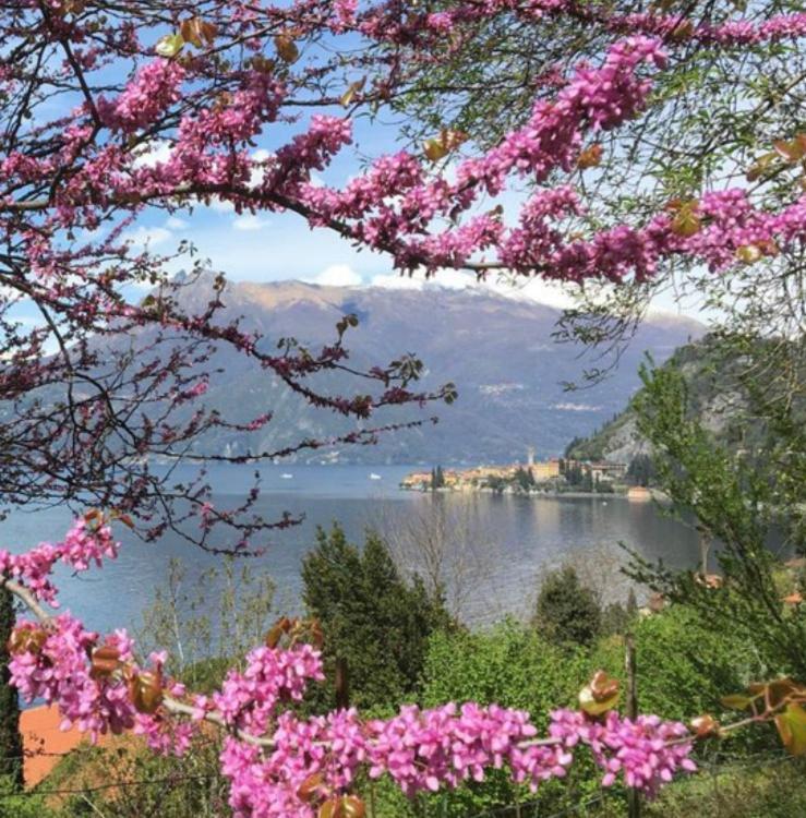 La Punta Di Varenna Zewnętrze zdjęcie